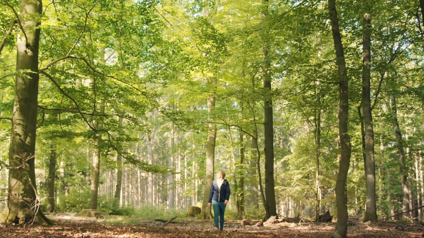 Wald